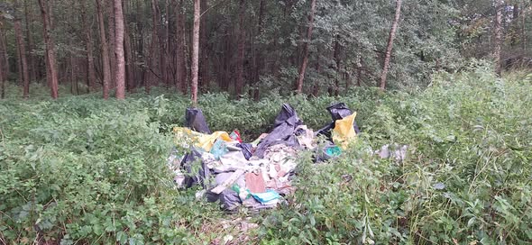 Ukarano sprawcę nielegalnego wysypiska w lesie w Elblągu